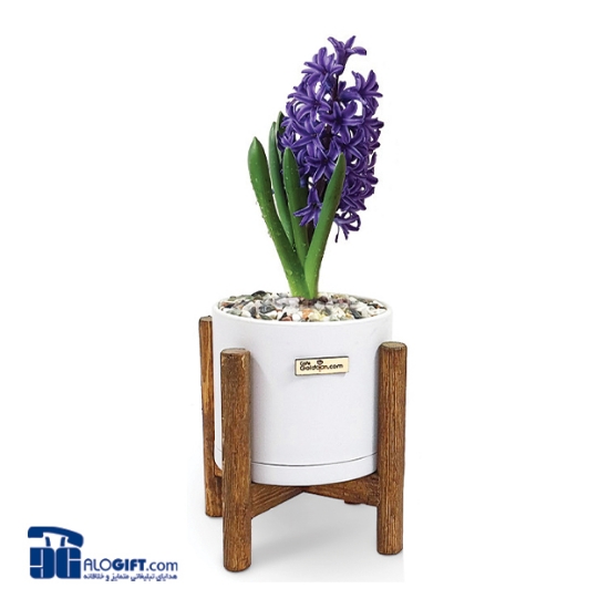 تصویر  گل سنبل با گلدان پایه دار چوبی تبلیغاتی 