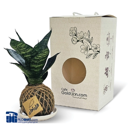 تصویر  کوکداما کوچک تبلیغاتی 